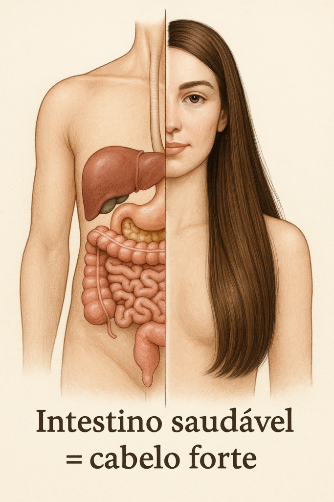 Ilustração mostrando intestino saudável e cabelo forte